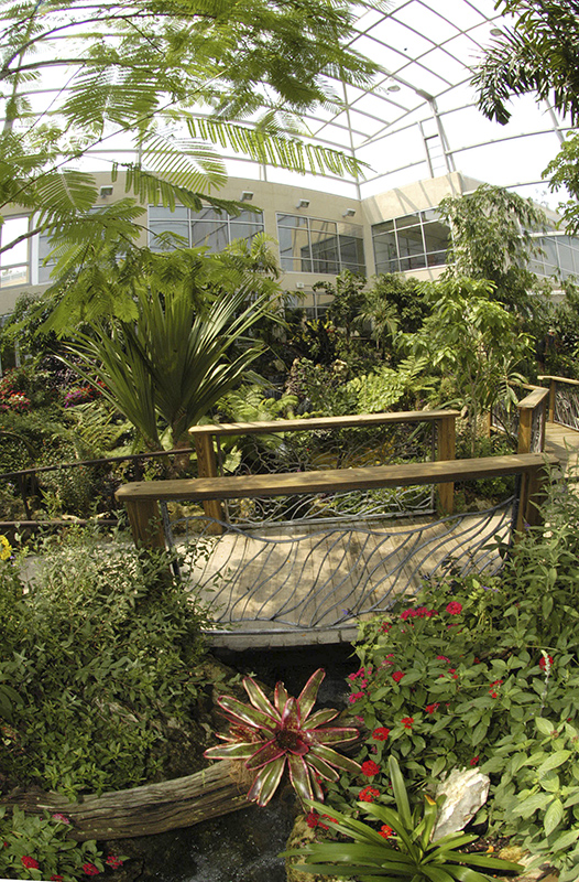 wide view of the Butterfly Rainforest exhibit