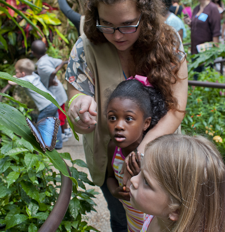 docent and kids looking at a butterfly