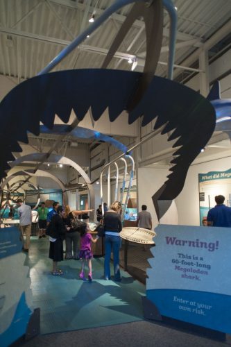 a large metal sculpture in the exhibit shaped like a very large shark