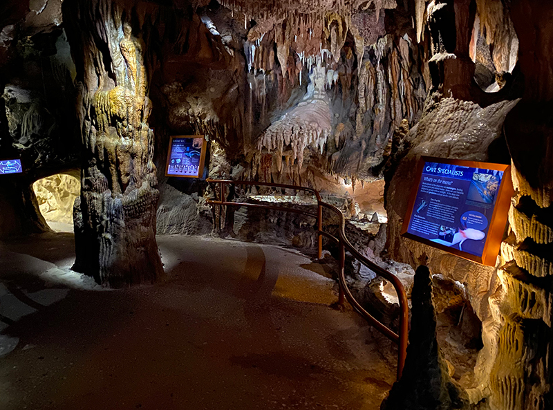 wide view of cave exhibit in a museum