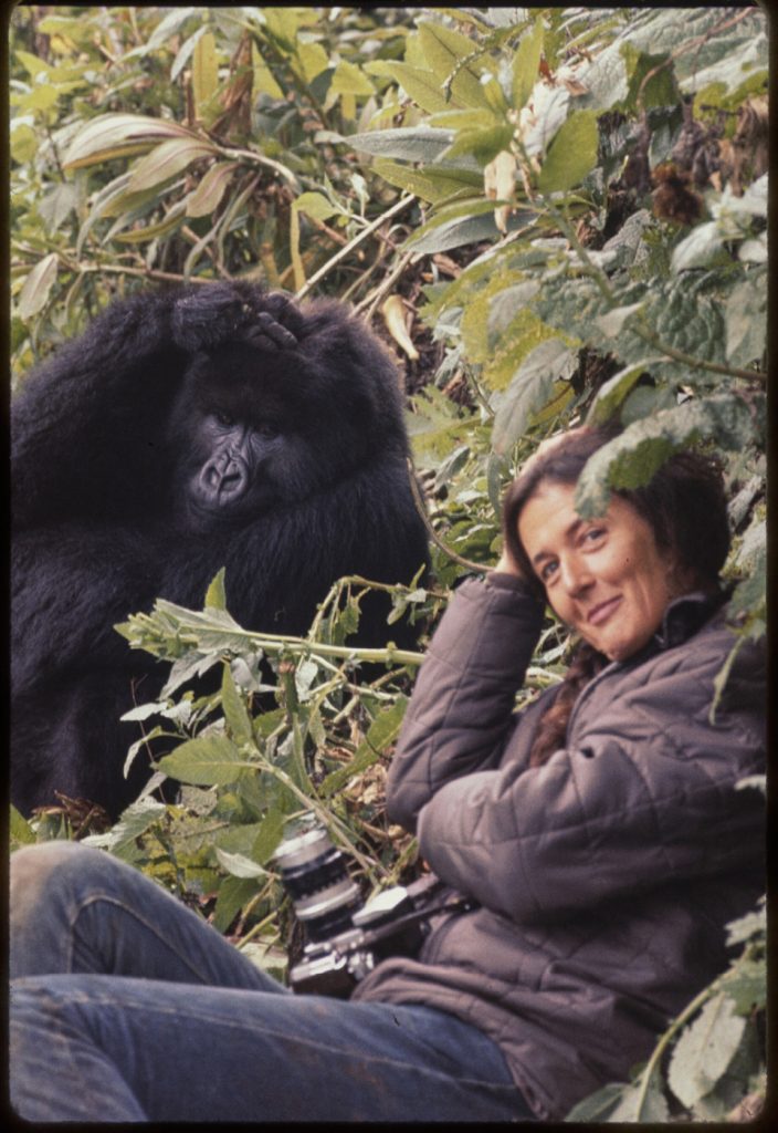 woman sitting with hand on her head. Behind her a gorilla mirrors her pose