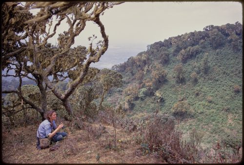 woman holding binoculars sits on the ground under a tree