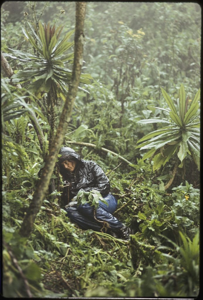 woman in rain coat sits on the ground in a jungle