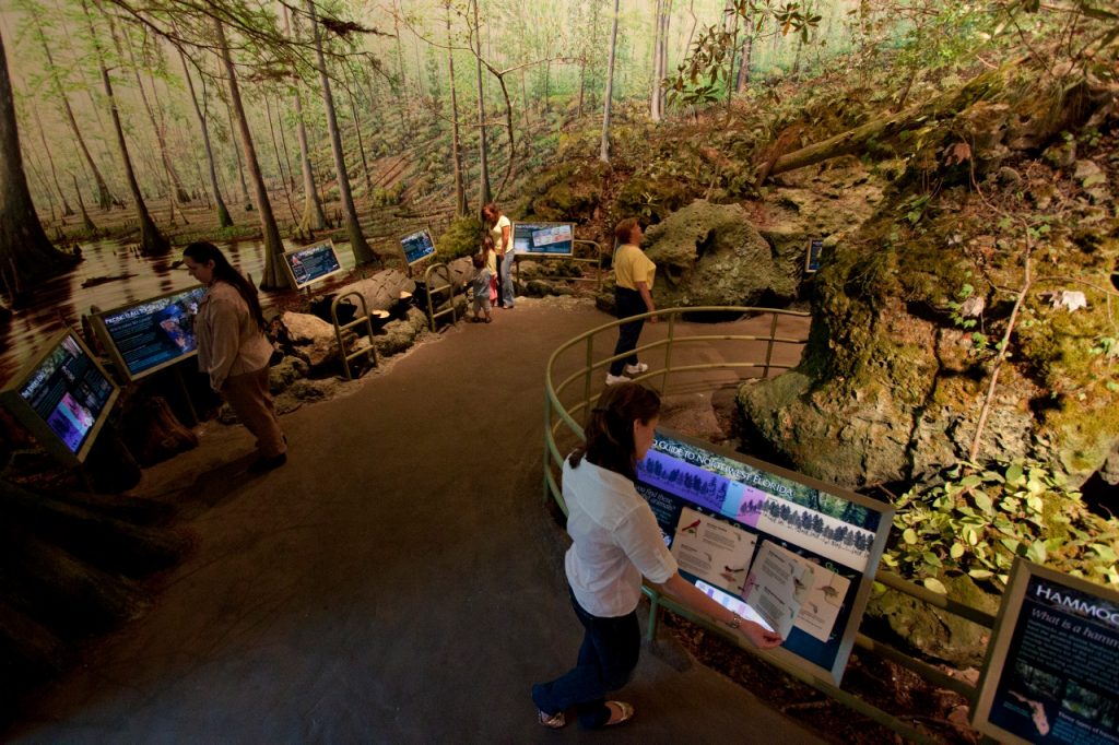 people reading the signs and looking at museum exhibit