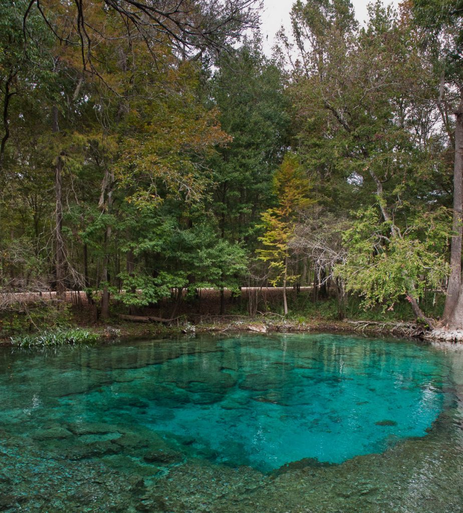 florida spring with blue-green water