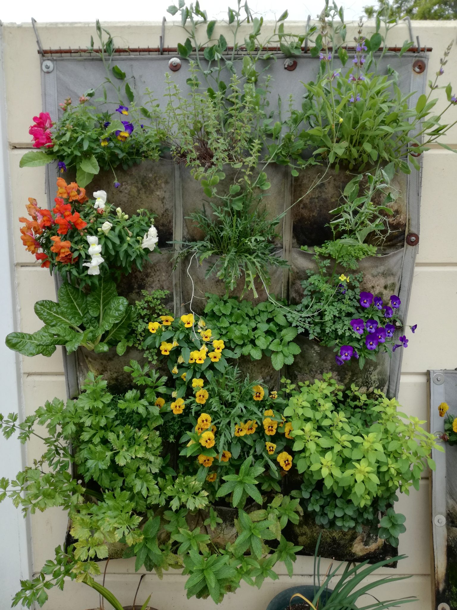 Room to Grow – Exhibits