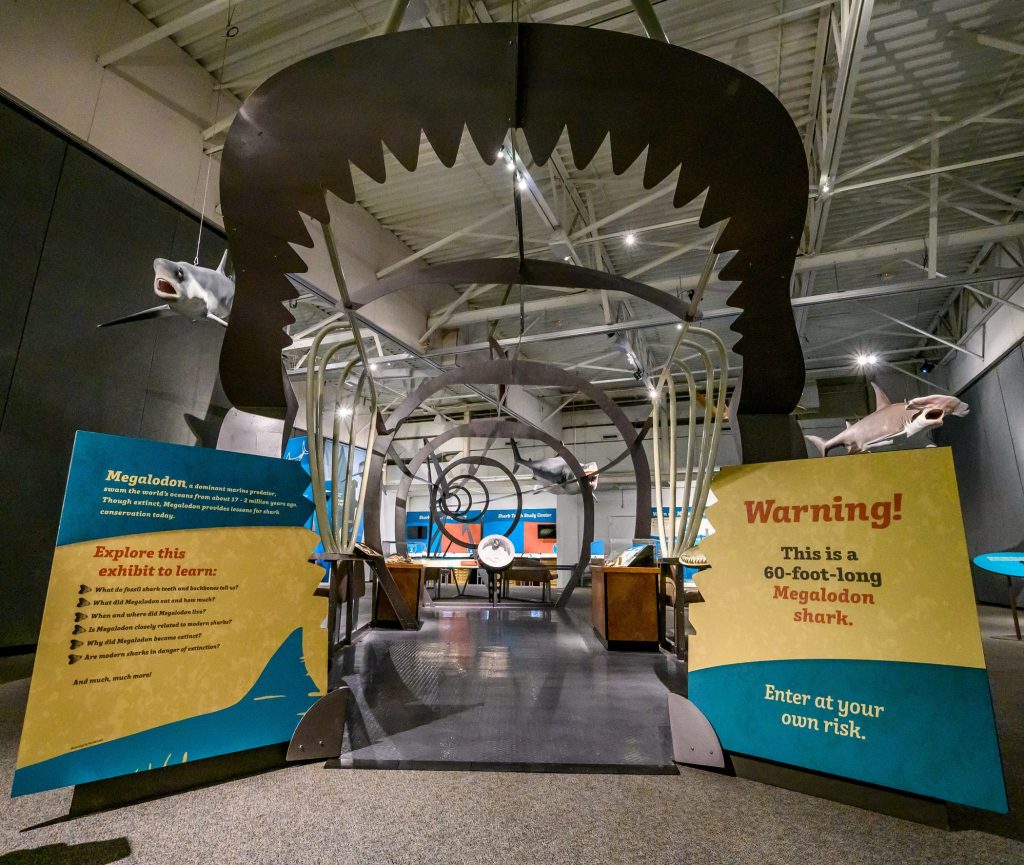 large display of Megalodon jaws and ribs made from metal to show the creatures size