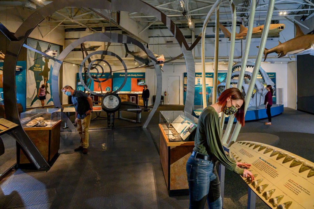 masked visitors reading and looking at displays at the 2020 Megalodon exhibit