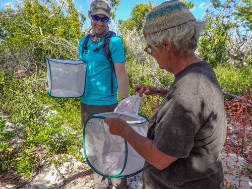 scientists holding butterfly nets 