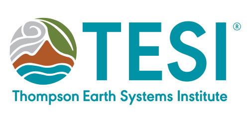 TESI logo