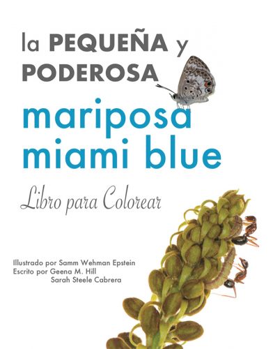 Spanish Version Miami Blue Coloring Book Cover