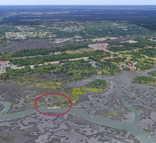 aerial view of inshore wetlands meeting settled coastal land