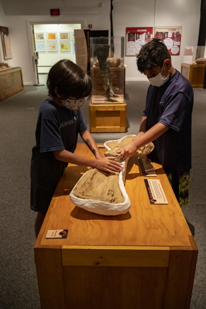 children touching interactive dinosaur bone