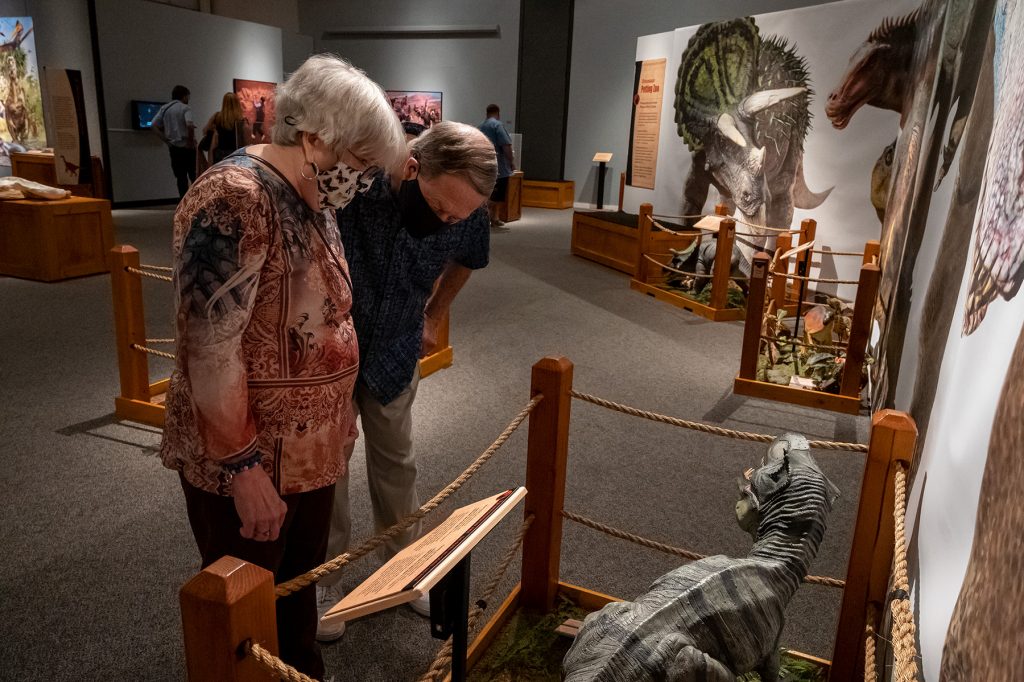 two visitors leaning forward to read a display about the baby dinosaur shown in a diorama.