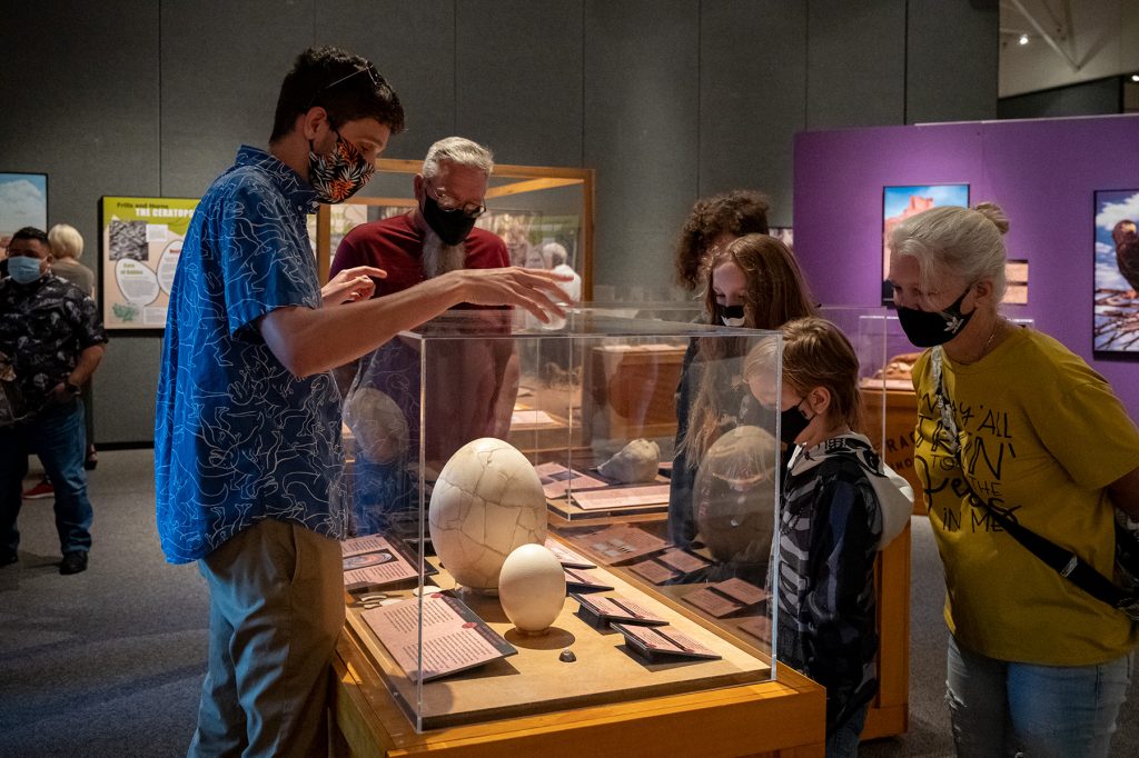 visitors look into display holding dinosaur eggs