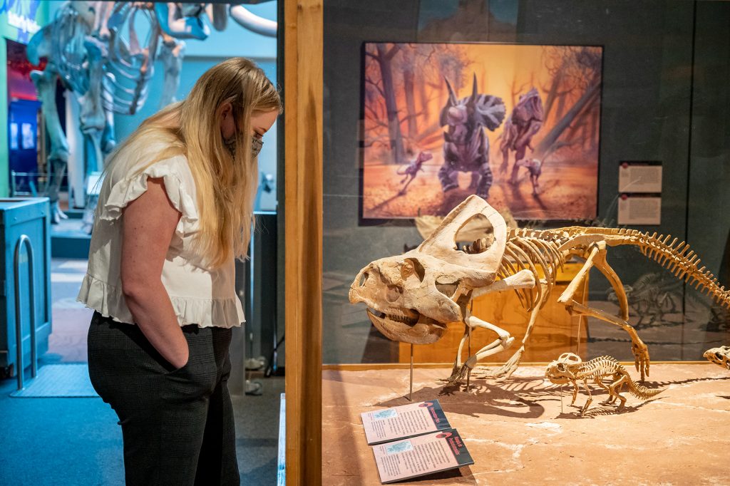 Visitor with long blond hair reads display in front of skeleton display of mother and baby dinosaurs