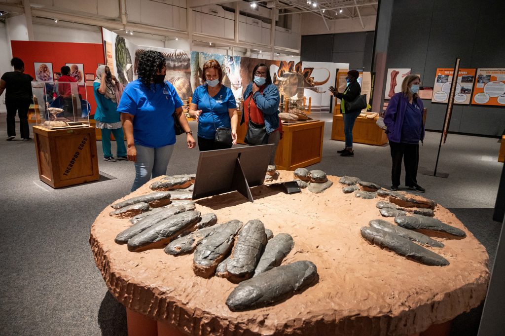 visitors look at a display on dinosaur eggs
