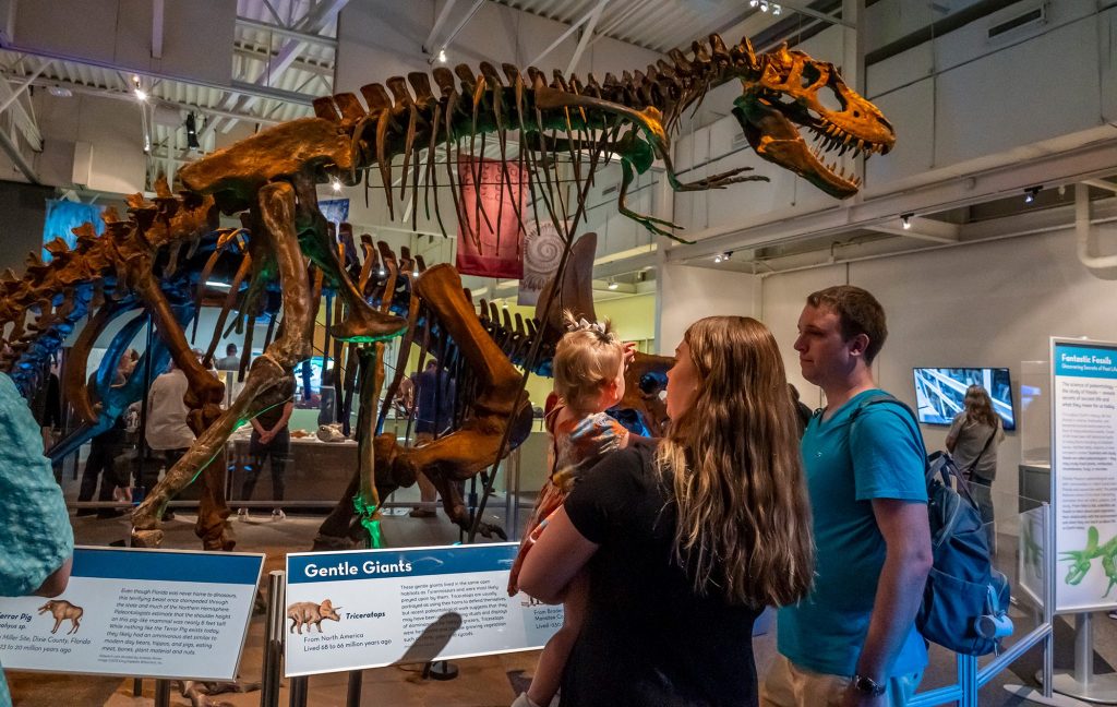 a man and a woman with a small child in her arms looking at the dinosaur skeleton on display. The child is pointing at the dinosaur