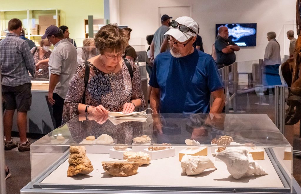 man and a woman standing in front of a display case filled with fossil specimens and reading about the items on display