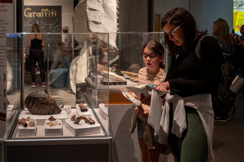 visitors standing in front of a display case filled with fossil specimens