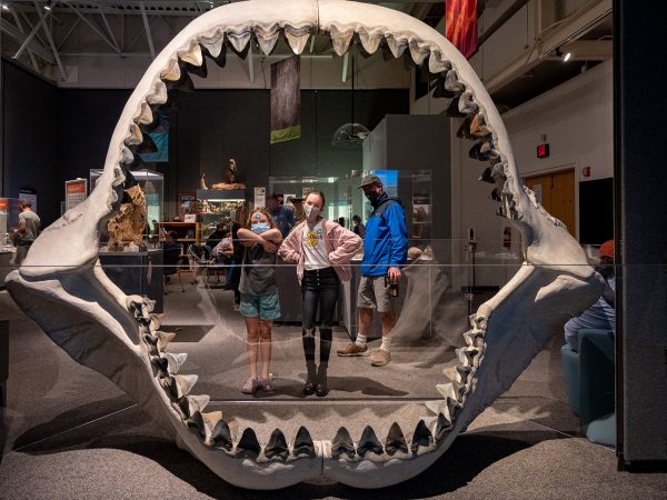 Two children posing for a photo behind the open fossil jaws of a megalodon