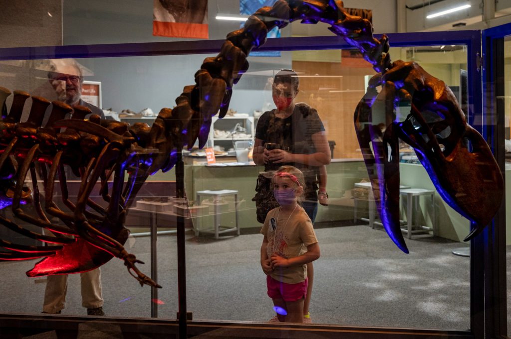 visitors including a young child looking at fossils on display