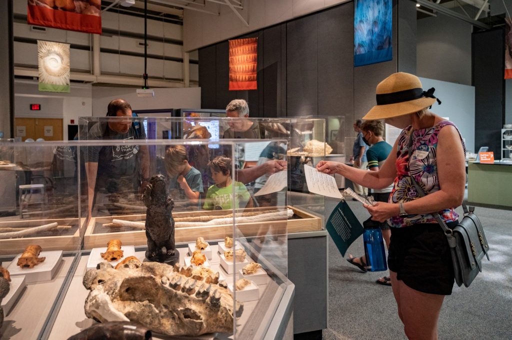 many visitor looking at fossils on display and reading around the items on display