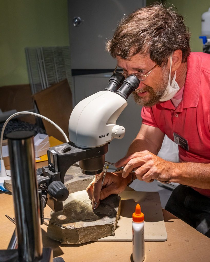 researcher looks through a magnifier while working to prepare a fossil specimen in the Fantastic Fossil exhibit lab