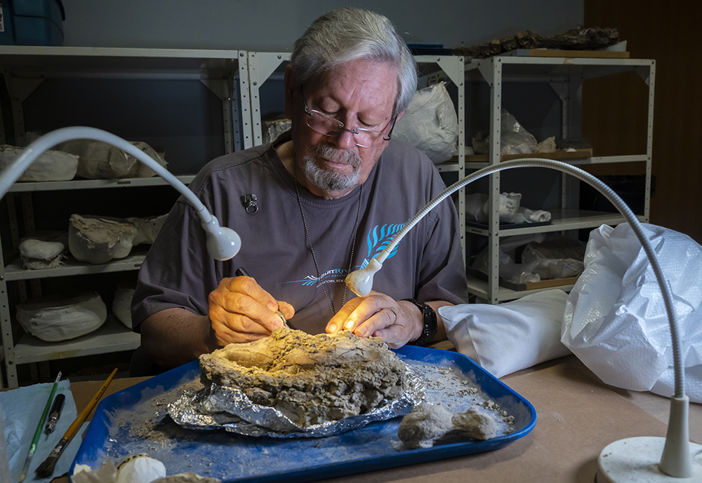 person working on fossils