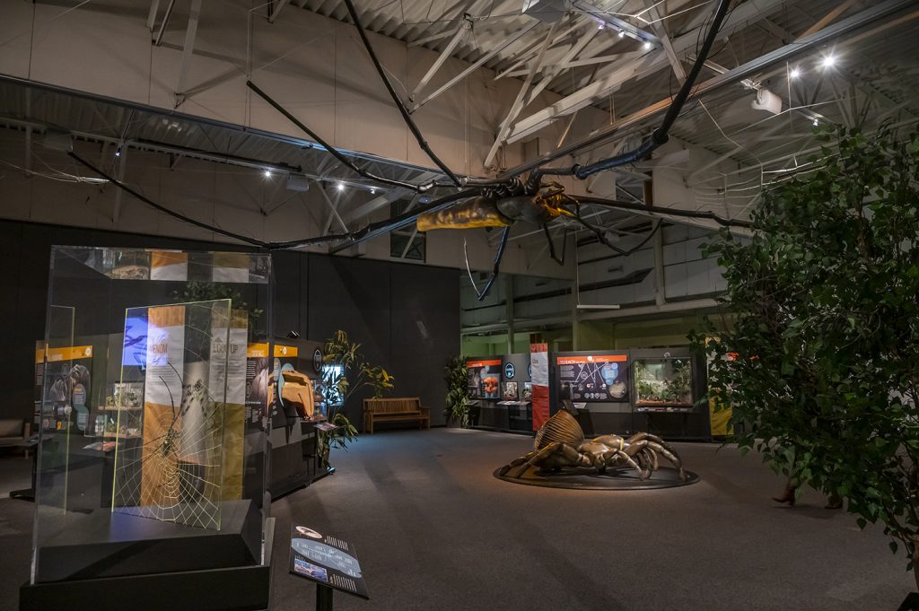 exhibit space with model of spider on the ceiling and the floor in focus