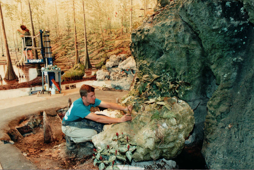 man fixing a plant on a rock