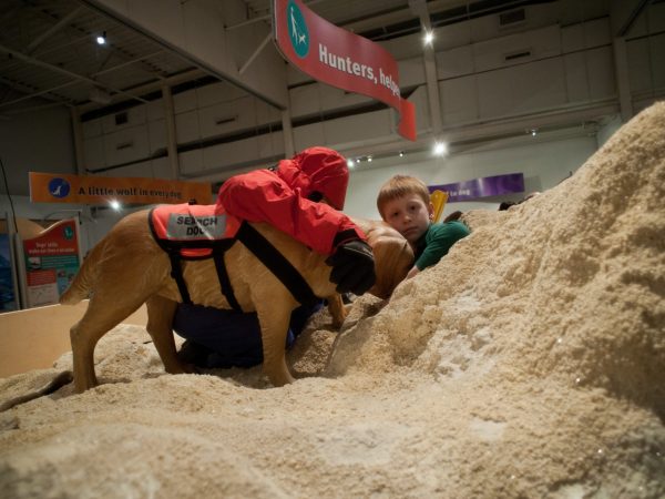 child explores fabricated display of a search and rescue dog.