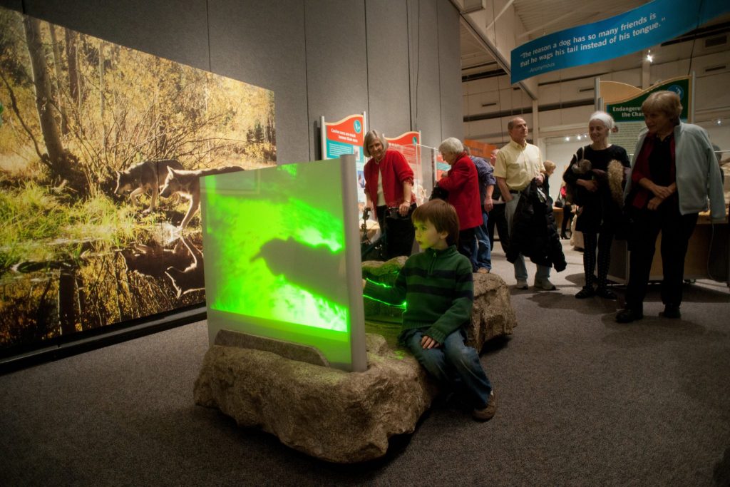 child sits next to green glowing screen showing a wolf's vision at night.