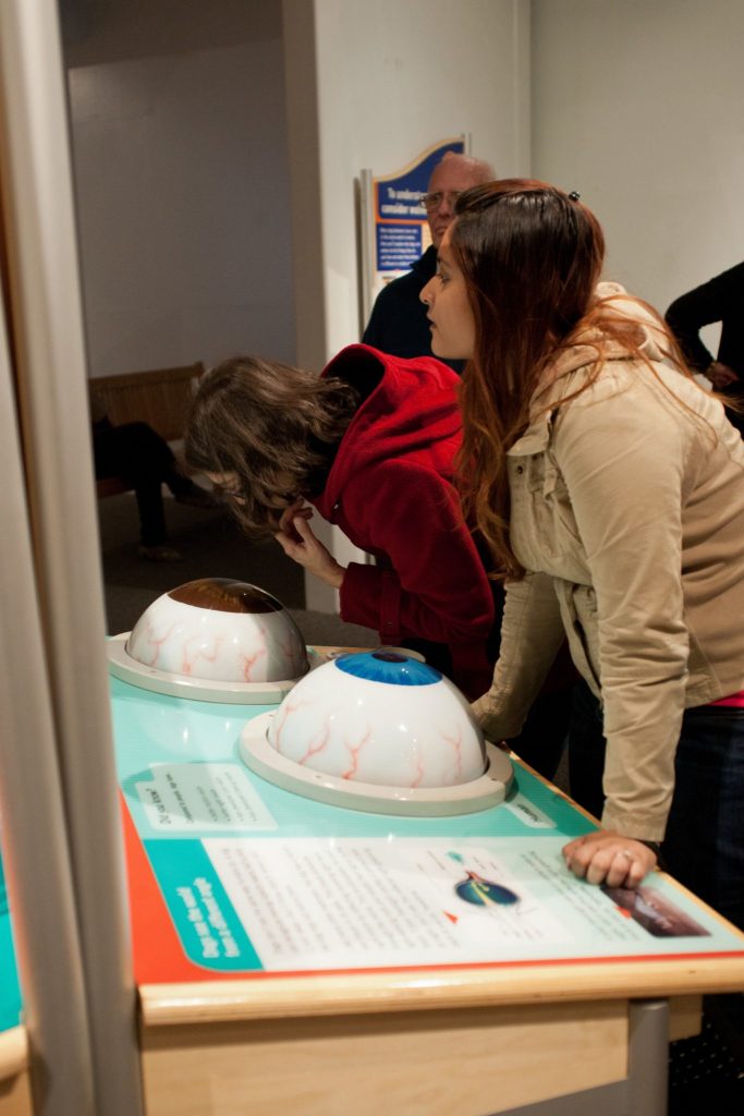 two visitors look at display comparing human and dogs eyes