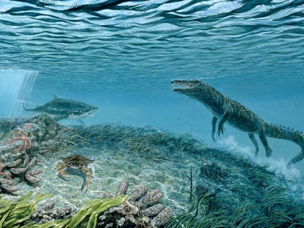 painting of an underwater scene with a shark and a crocodile swimming above a seagrass bed