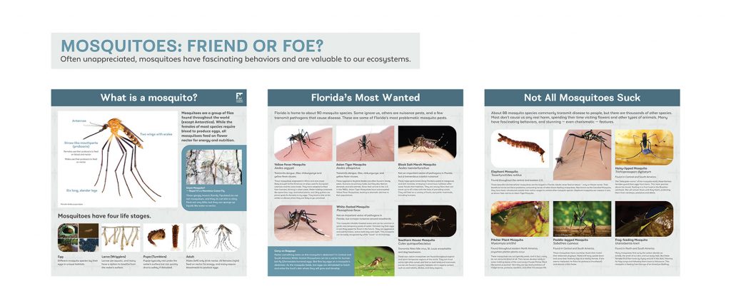 exhibit panel showing information about mosquitos, the different species of mosquitos found in Florida, and types of mosquitos that don't suck blood from humans