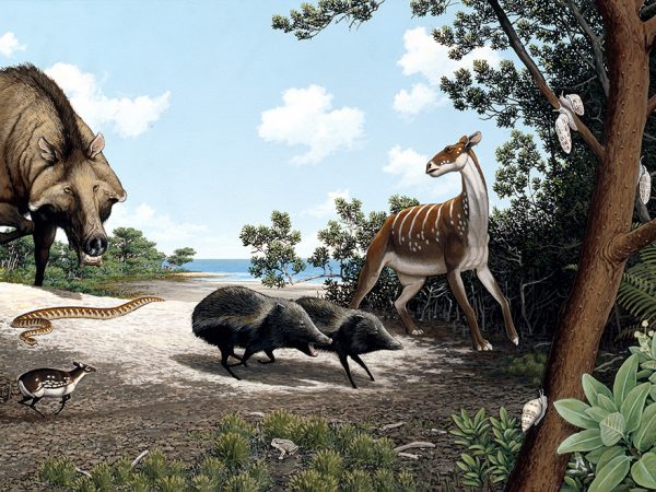 painting of several small mammals and a large snake with a very large predator approaching from the distance