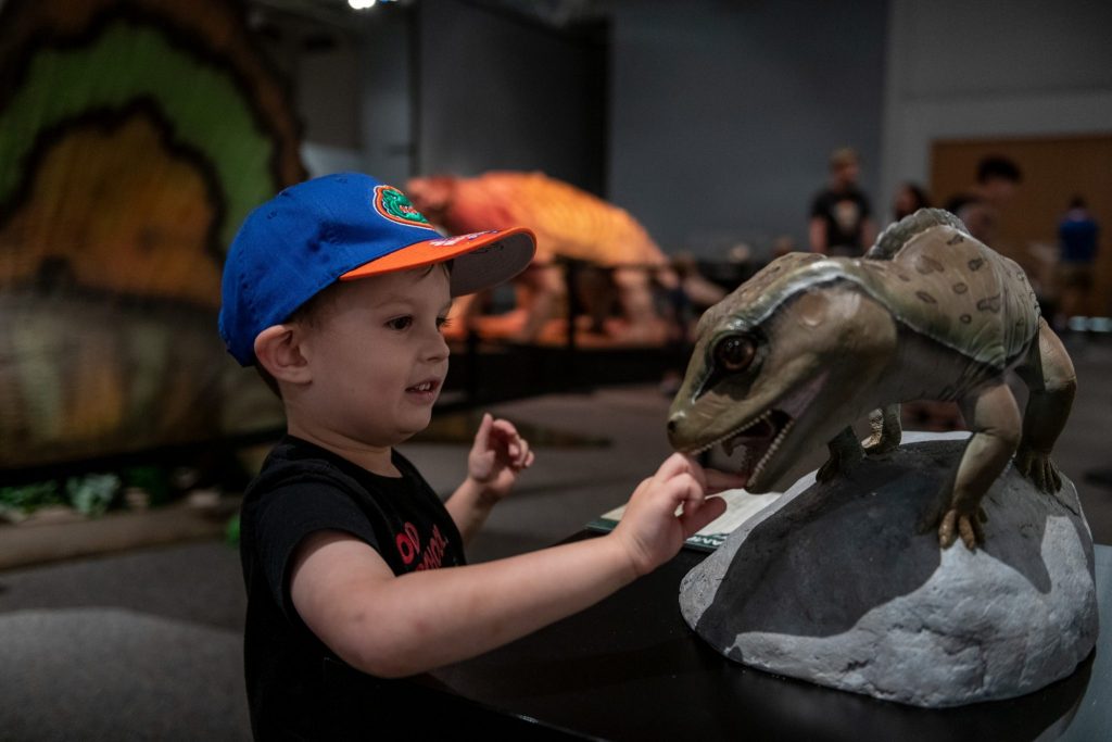 young child in sports baseball cap carefully touches the teeth of a small dinosaur-like model