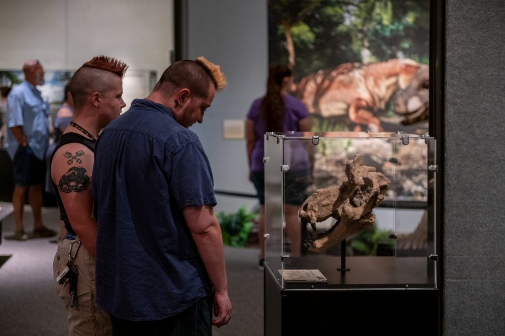 visitors looks a small fossil skull in glass museum display case