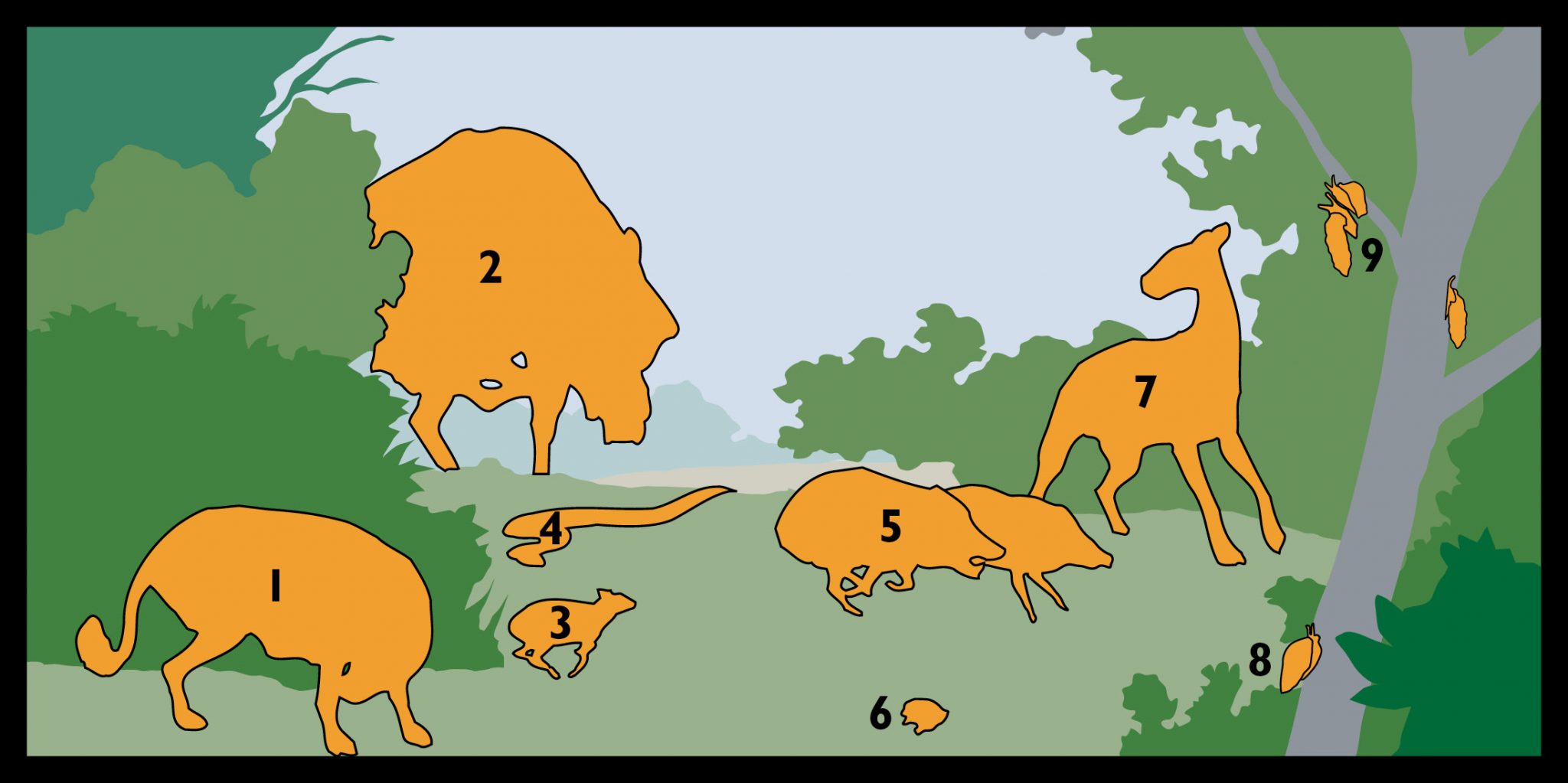 Illustration showing Oligocene scene with each animal and some plants only a numbered shape