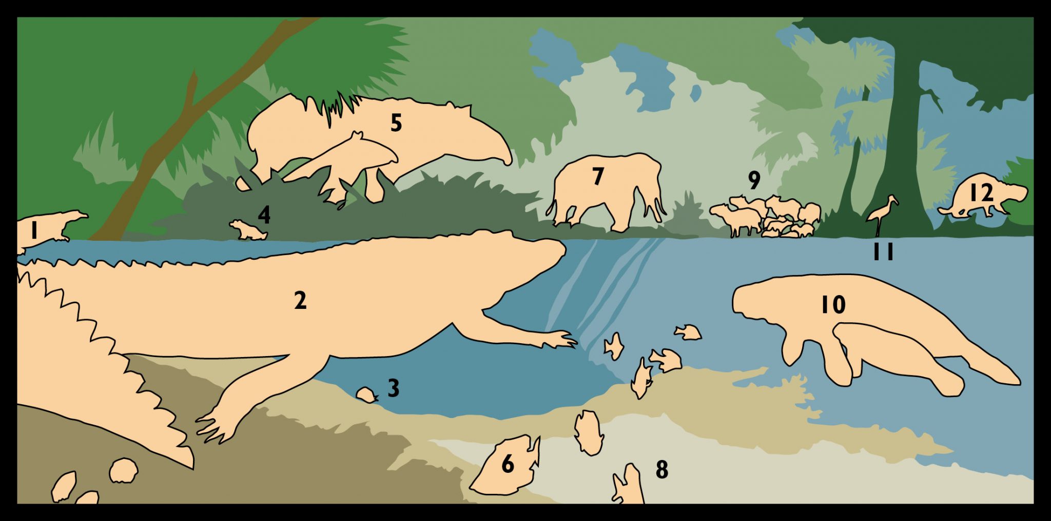Illustration showing underwater and riverside scene with each animal and some of the trees only a numbered shape
