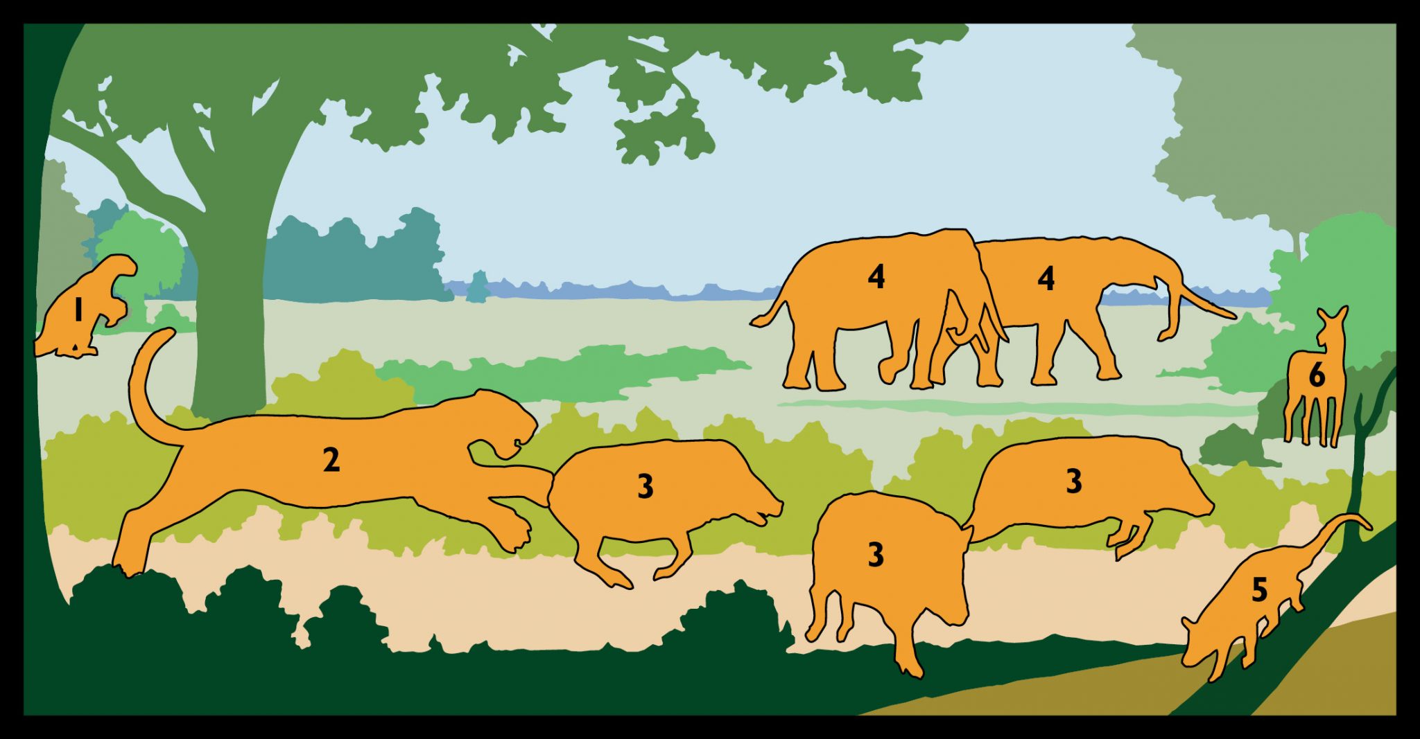 Illustration showing terrestrial scene with each animal and some of the plants only a numbered shape