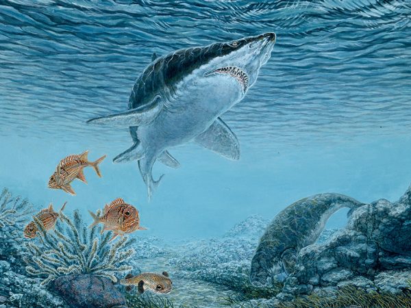 underwater marine painting of Florida's Oligocene with sharks, fish, shells, coral and other creatures.