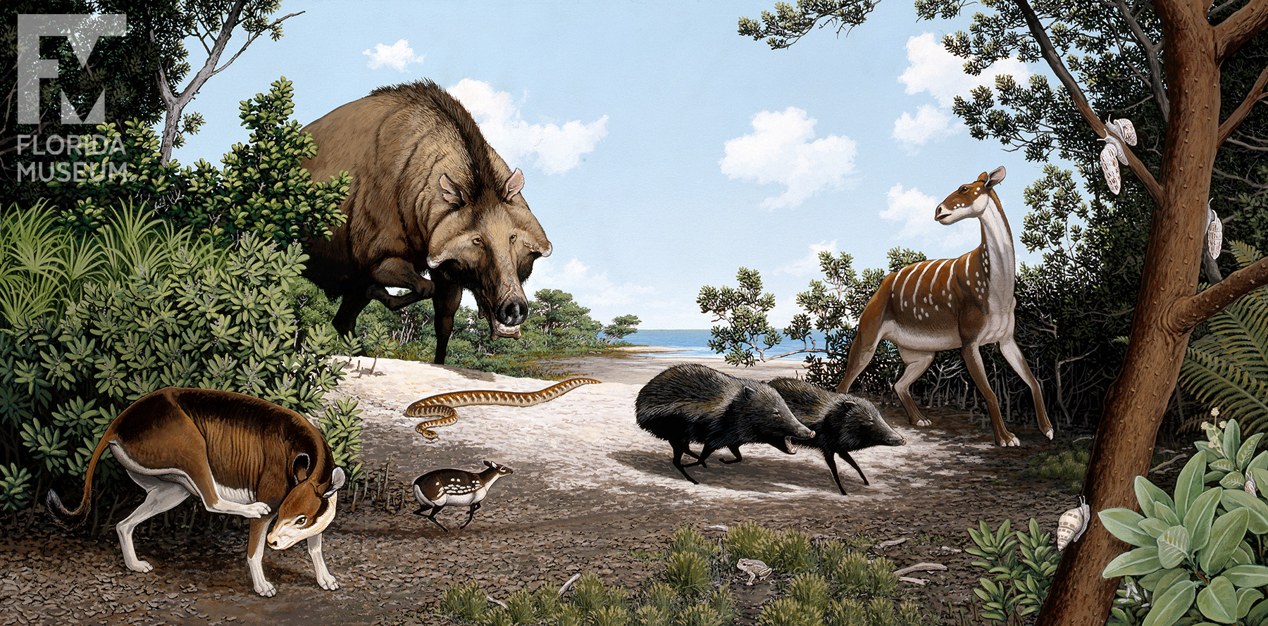 painting showing scene of Florida Oligocene