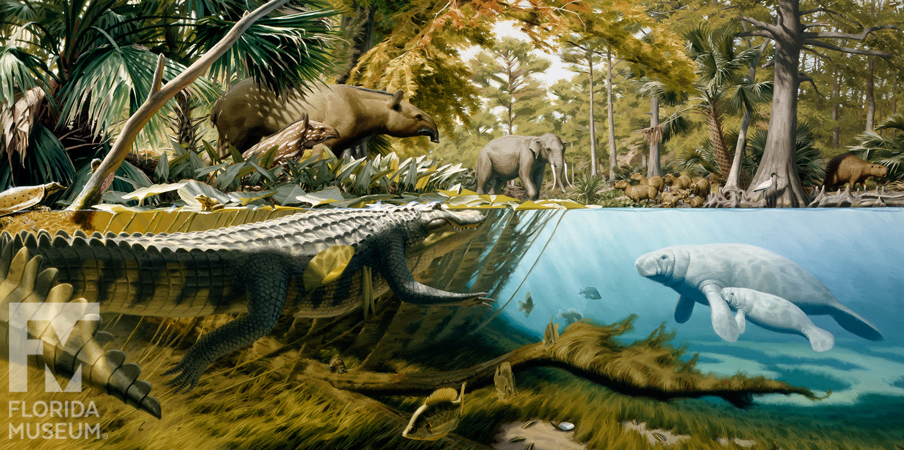 a underwater and riverside painting of Florida's Pleistocene with animals swimming and on lang