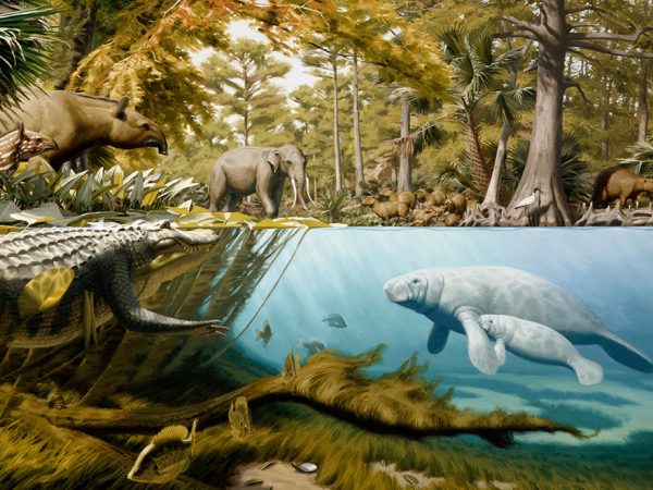 a underwater and riverside painting of Florida's Pleistocene with animals swimming and standing along the rivers edge
