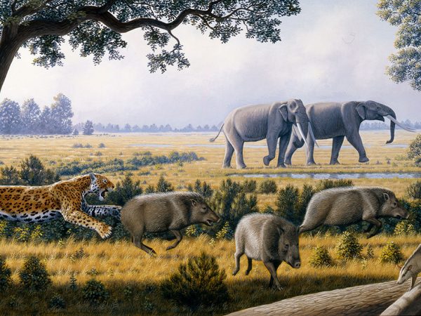 a landscape painting of open grassland with a leopard chasing boar-like animals in the front and several large elephants in the background