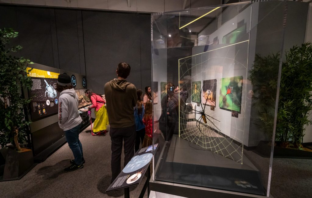 many people looking at the signs, photos, and other items on display in the spiders alive exhibit