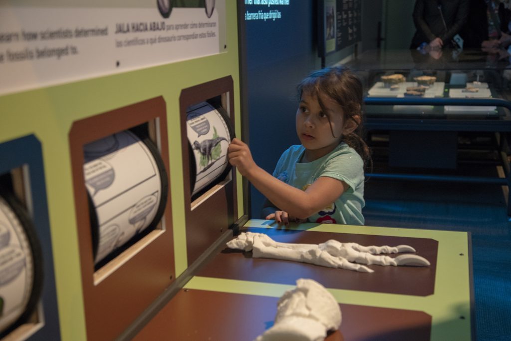 child interacting with exhibit