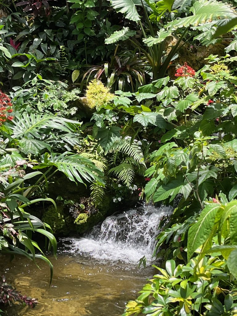 waterfall surrounded with lush green plants